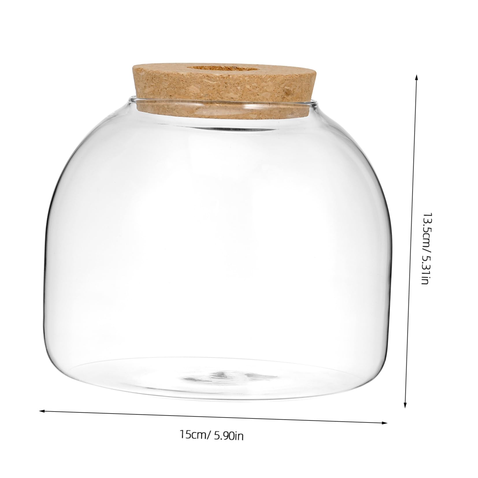 Kleines Terrarium für Pflanzen Dekoratives Gefäß mit Korkdeckel für Moos und Miniaturgärten Perfektes Wohnaccessoire und für Pflanzenliebhaber