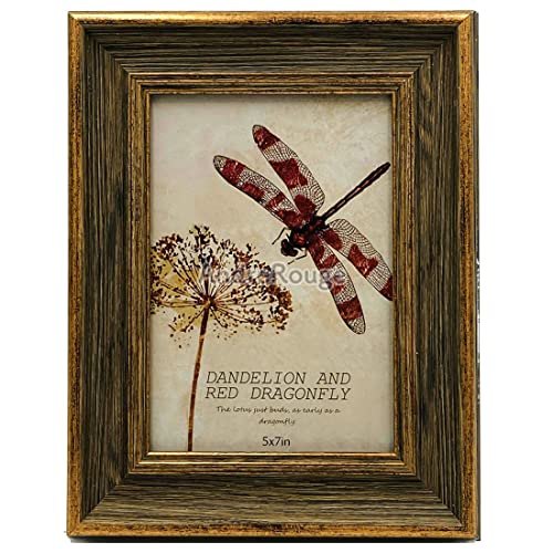 Ah[W tHgt[ ʐ^ ʐ^ ʐ^X^h ͂ 2L  AeB[N i` (2L, uE)