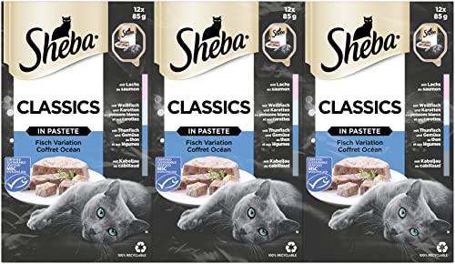 Sheba, mangime Umido per Gatti, sapori Vari, 72