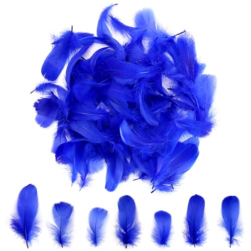 300pcs Blue Feathers 2-3 Inches Bulk Feathers for Crafting Dream Catcher Accessories Art Projects DIY Crafting Handi Crafts Party Decoration (Royal Blue)