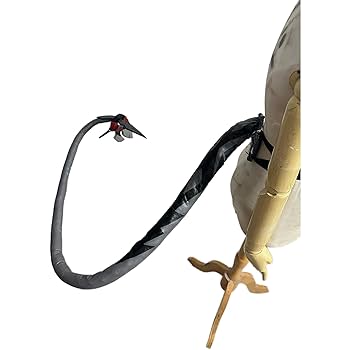 Amazon.co.jp: ゼンレスゾーンゼロ ジェーン・ドゥ コスプレ