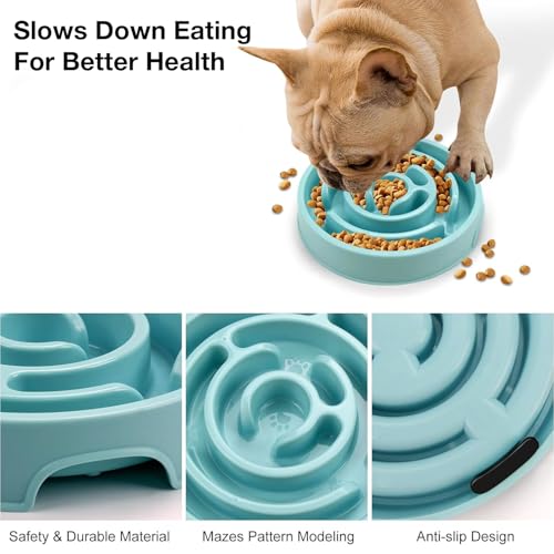 Image of Slow Feeder Bowl | Round Maze Food Bowl for Dogs and Cats | Anti Choking Puzzle Bowl | Anti Slip Interactive Feeding Dish | Durable & Easy to Clean | Anti Bloat and Aids Digestion (Blue)