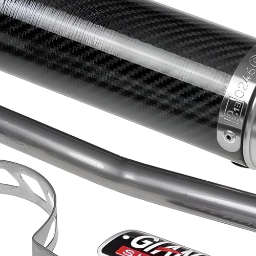 Auspuffanlage Giannelli Endtopf Carbon mit ABE für Aprilia