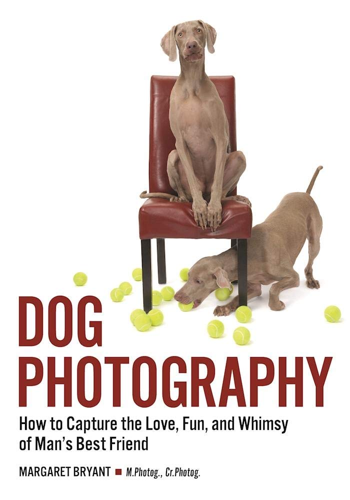 Buy Dog Photography: How to Capture the Love, Fun, and Whimsy of Man's Best Friend — BookShops.in