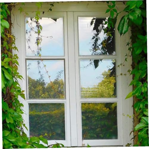 Película para ventana para privacidad y aislamiento térmico miniatura 4