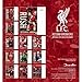 2025 Calendar Liverpool FC Month to View Football Desk Easel Official Product