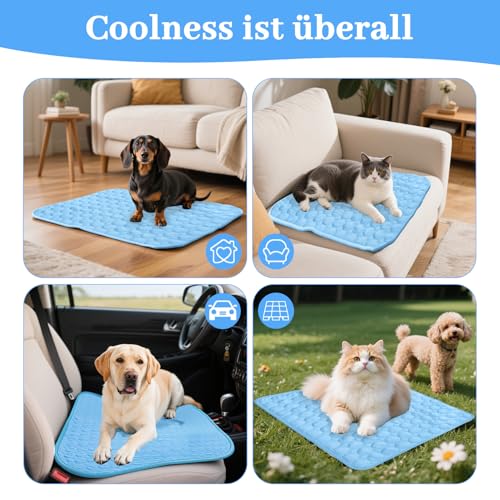 AZVFLY Kühldecke Hund Waschbar Kühldecke Katzen: Ungiftig Kühlkissen für Haustiere Faltbar Kühlmatte Hund Schlafplätze & Möbel für Hunde im Sommer (100 * 70CM-Blau)