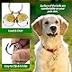 Extra Loud Cat & Dog Bell for Collar, Pet Tracker & Falconry, Durable Brass Collar Charms with Swivel Lobster Clasp