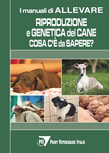 Riproduzione e genetica del cane: cosa c'è da sapere