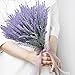 TEMCHY Artificial Lavender Fake Flowers, 6 Bundles Purple Lifelike Faux Foliage Plants Shrubs for Wedding Bouquets, Outside Hanging Planter, Farmhouse Indoor Outdoor Patio Home Decor