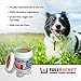 FullBucket Daily Dog Probiotic 435g, Kennel Size - Support Natural Digestion, Treat & Prevent Diarrhea - Probiotics, Prebiotics & Digestive Enzymes All in One Tasty Probiotic Powder for Dogs