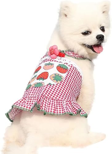 ̕  Ch RXv m ybg hbOEFA ԕ [X  [X L tďH RX`[ L hbOEFA ^ s[X EPl op U Eѕی ʋC ETM pibhC2XL)