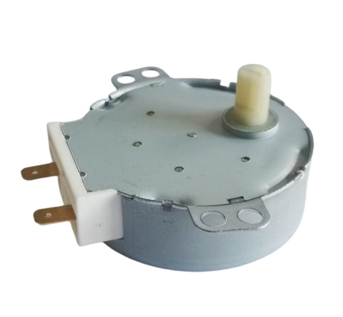 Amazon.com: E199324 Synchronous Motor Replacement Part (120V AC