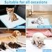 Foymlon 100 Stück Welpen Unterlagen, 33 x 45 cm PIPI Matten für Hunde, Puppy Pads mit 6 Schichten Design, Schnell Trocknen und Feuchtigkeit Absorbieren, Geeignet für Hunde, Katzen und Schweine