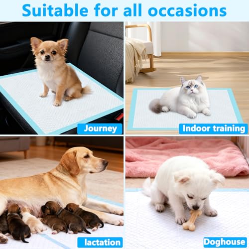 Foymlon 100 Stück Welpen Unterlagen, 33 x 45 cm PIPI Matten für Hunde, Puppy Pads mit 6 Schichten Design, Schnell Trocknen und Feuchtigkeit Absorbieren, Geeignet für Hunde, Katzen und Schweine