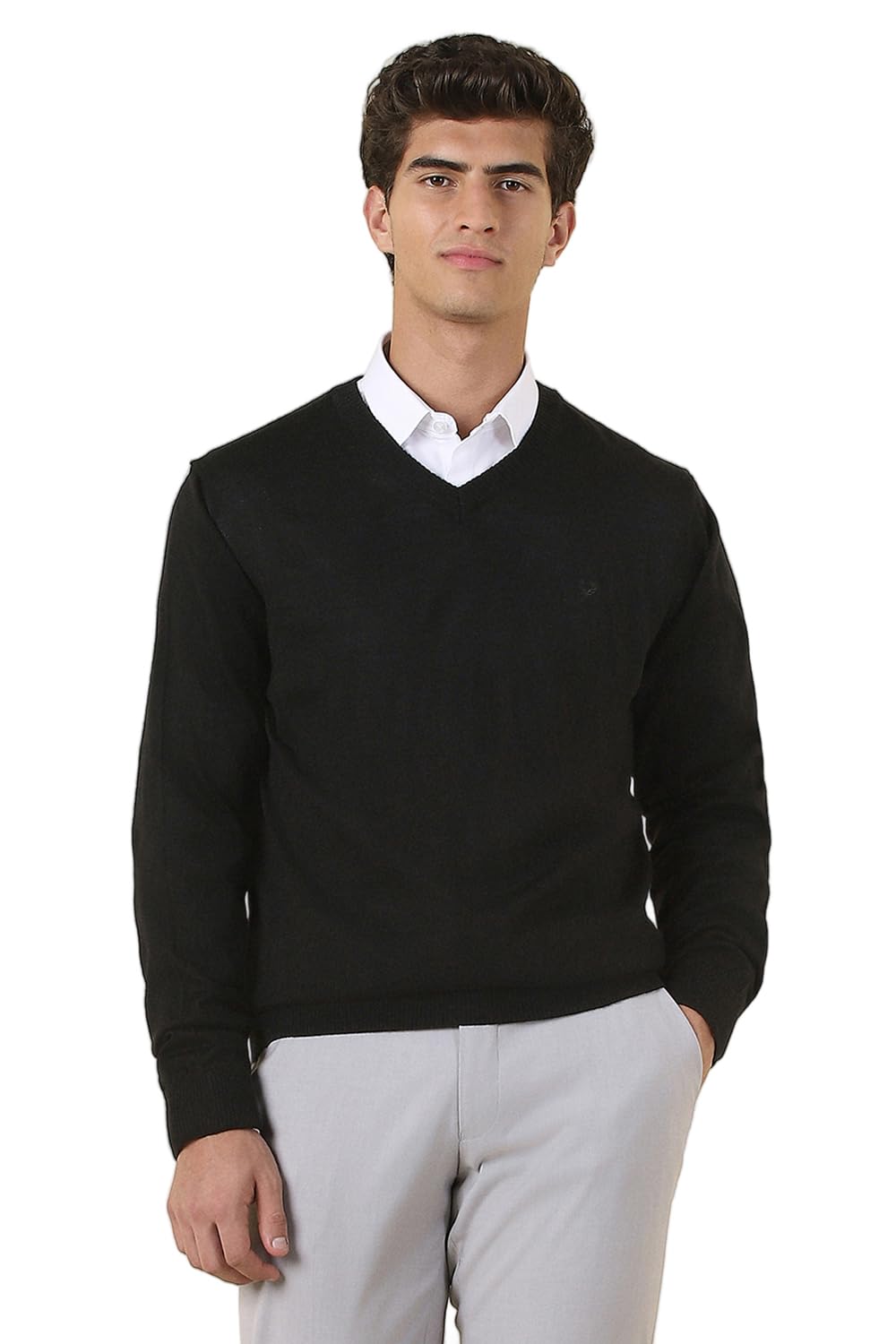 allen solly Men Sweater-picture-26