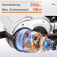 SAXONETTE E Fahrrad Herren 28 Zoll mit Mittelmotor 90NM， Bis zu 120km – Ansicht 2
