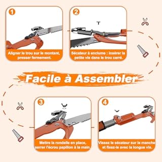 LAANPOLE 6m Scie, Ébrancheur sur Perche Telescopique avec Perche de Extension 1,5-6m, Ébrancheur Manuel pour Jardin