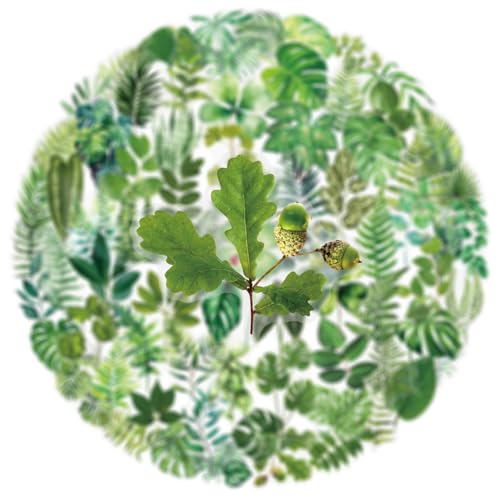 Image of Transparent Flora Leaf Scrapbook Stickers Plant Leaf Stickers(G100) | Transparent & Waterproof Sticker for Scrapbook Journal Water Bottle Kindle, DIY Crafts, Party Supplies