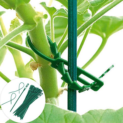 good01 50Pcs Garden Tools | Reusable Plastic Landscape Fishbone Spur Plant Branches Belt Band Ties *Short