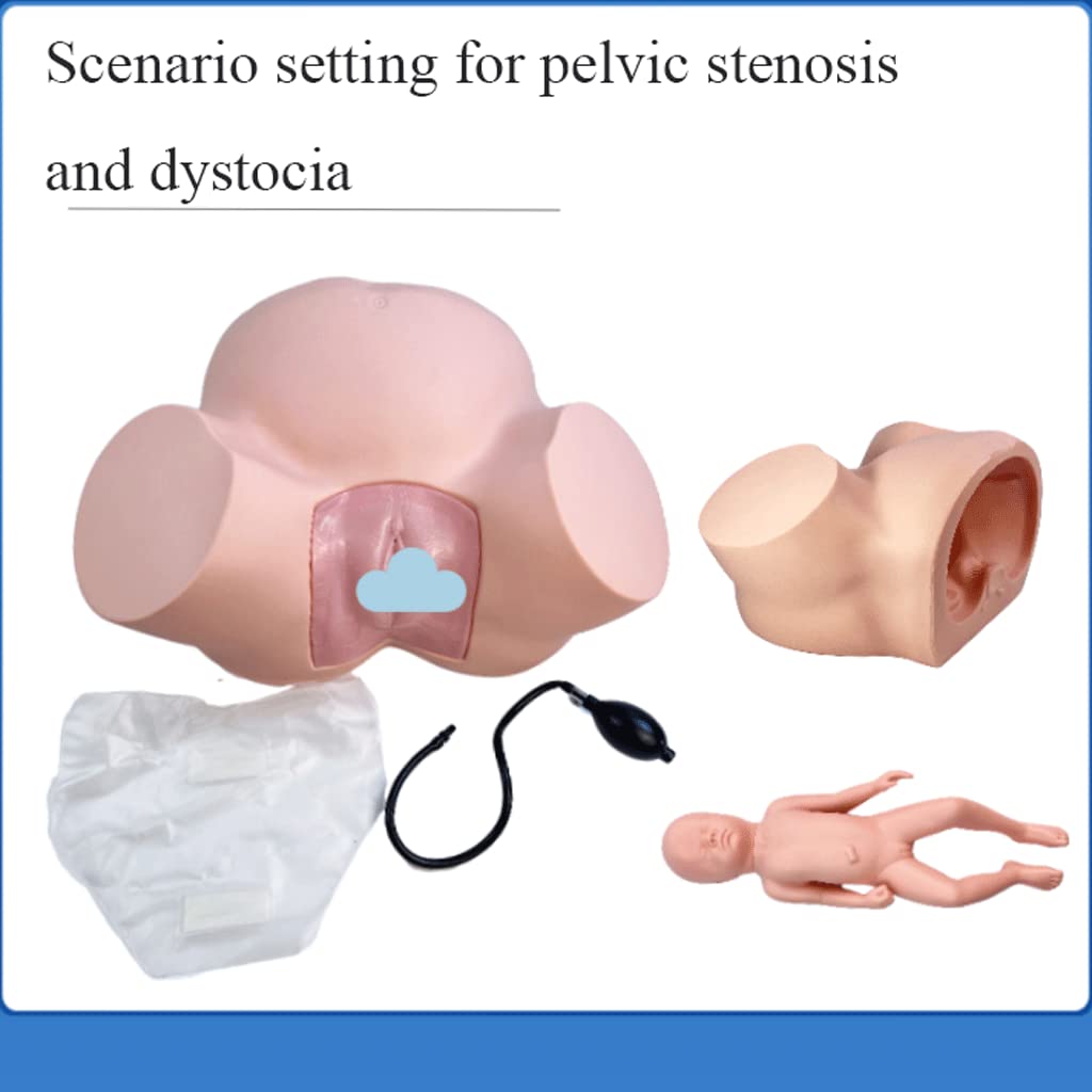 PLbsE Demonstration Female Childbirth Manikin Advanced Midwifery Training Model Standard Childbirth Simulator for Medical Teaching