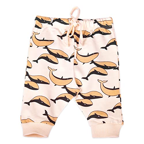 Image of ARIEL Cotton Fleece Clothing Sets For Boys & Girls - Unisex Winter Clothing Sets Full Sleeve T-Shirt & Pant, Beige, 0 month(Newborn)