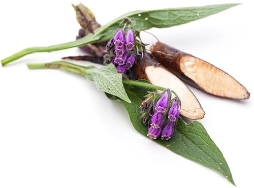 Vista 9 de Biokoma Raíz seca de ginseng siberiano puro y natural, 1.76 onzas (1.76 onzas) en bolsa resellable a prueba de humedad, té de hierbas, sin aditivos