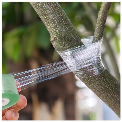 Naapesi 2 Rotolo Innesto Del Nastro, 3 Cm * 200 M Film Innesto, Nastro Estensibile Per Innesto Di Alberi, Adesivo Per Innesto, Piante Riparazione, Verde Trasparente (4) - 6
