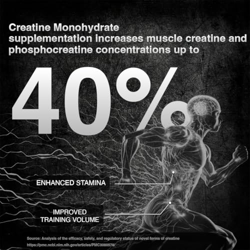 Image of BEASTLIFE Super Micronized Creatine Monohydrate 249g | 83 Servings Unflavoured Powder| NABL Lab Tested | Premium Sports Nutrition for Strength & Performance