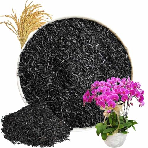 Horticultural Charcoal, Rice Husk Natural Activated Charcoal for Plants Indoor Biochar Soil Amendment Organic for Terrariums - 2.2 lbs