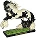 Enesco Trail of Painted Ponies Don't Fence Me in Figurine, 7"