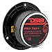 DS18 PRO-TWX1 Super Tweeter 1