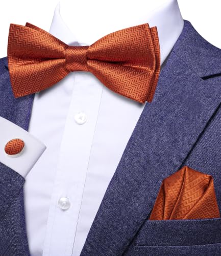 Image of Dubulle Mens Paisley Striped Bowtie Set Pre-tied Bowtie for Men and Pocket Square Set Wedding Business