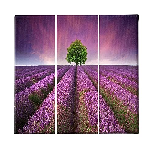 Tableau Fleurs Homemania Triptyque Nature en Bois et Polyester 69x50cm