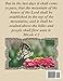 Bible Word Search Extra Large Print Old Testament Volume 119: Obadiah, Jonah, and Micah (Bible Word Search Puzzles For Adults Jumbo Print Butterfly Edition)