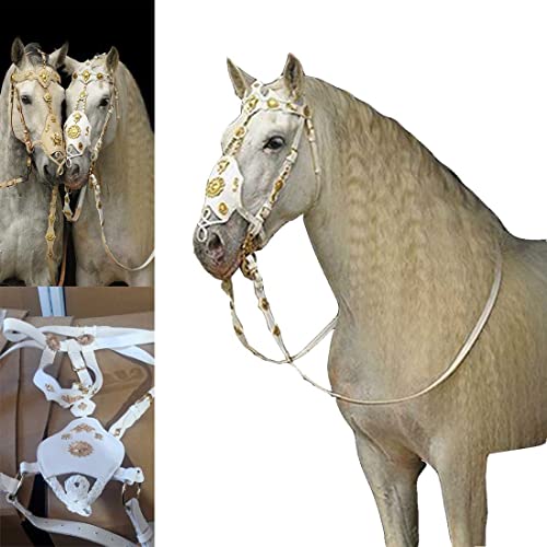 Los 10 mejores Accesorios para cabestrantes 【2023】 ️