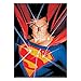 SD Toys DC Comics Jigsaw Puzzle Superman Puzzles