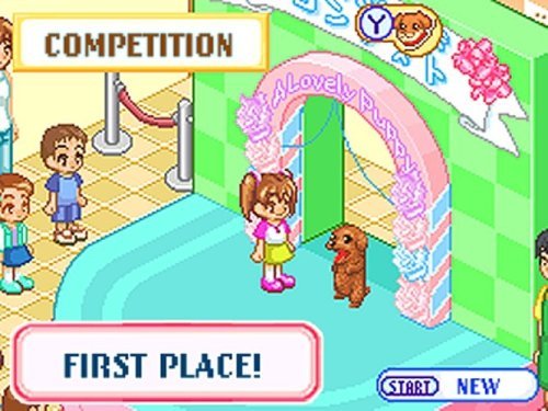 Dogz - Nintendo DS (Renewed)