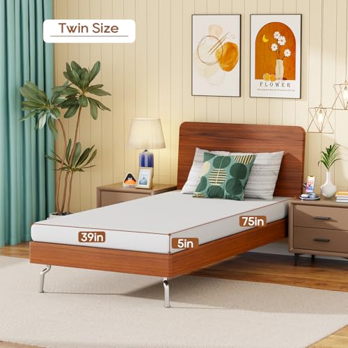 Image of FDW 5 Inch Twin Mattress, Medium Firm Base Foam, Breathable & Comfortable with Removable Washable Zipper Cover, Bed in a Box, CertiPUR-US Certified, White