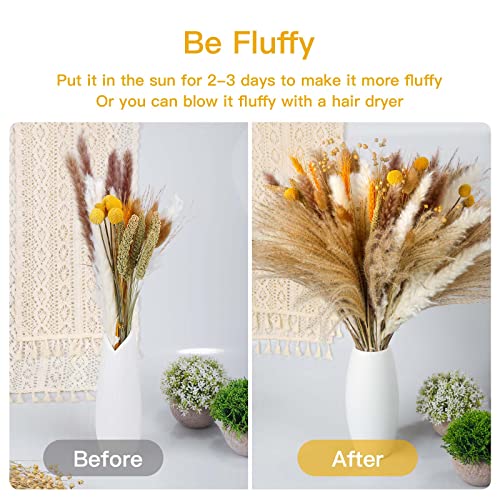 Sosayet Pampas Secas Decoracion, 100 Piezas Flores Secas Naturales 40-44 cm, Ramos de Flores Secas Naturales Decoración para el Hogar, Hierba de Pampa Esponjosas para Decoracion Boho Fiestas Bodas - imagen 3