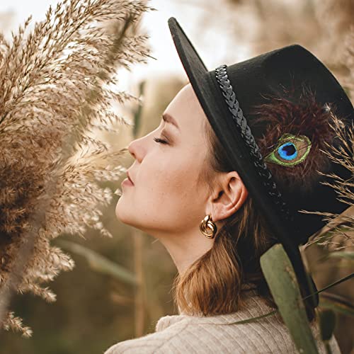 Mix Brown Hat Feathers, Assorted Natural Feather Packs Accessories For Fedora, Cowboy Hats, Pork Pie Hats, Trilby Hats,Oktoberfest Hat (11 Pcs) #TOP5