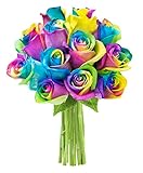 KaBloom Bouquet of Fresh Cut Rainbow Roses: 12 Rainbow-Swirl Roses