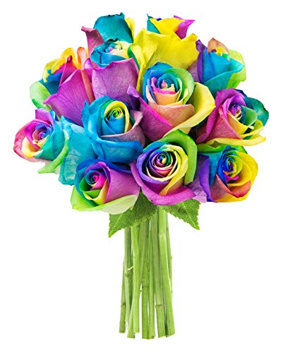 KaBloom - Bouquet of 12 Fresh Rainbow Roses (Farm-Fresh, Long-Stem) - Fresh Flowers for Birthday, Valentine's & Mother's Day KaBloom - Bouquet of 12 Fresh Rainbow Roses (Farm-Fresh, Long-Stem) - Fresh Flowers for Birthday, Valentine's & Mother's Day