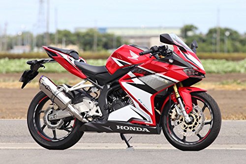 絶版マフラー CBR250RR アールズギアワイバーン Amazon | アールズギア ワイバンリアルスペック スリップオンマフラー