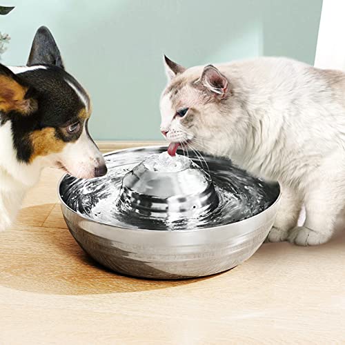 Fuente automática para agua de mascotas de acero inoxidable miniatura 5