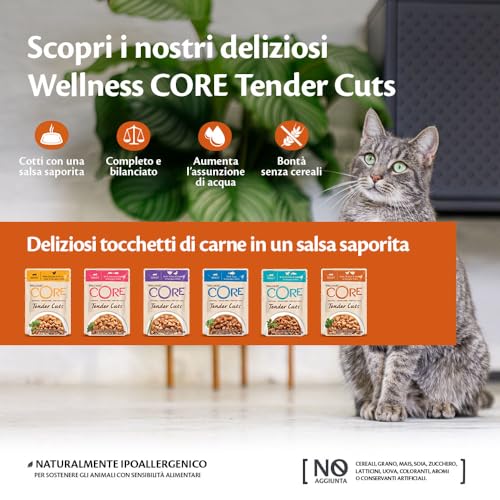 Wellness CORE Tender Cuts 6 x 85g, Mix Poulet & Saumon – Nourriture Humide – vue 2