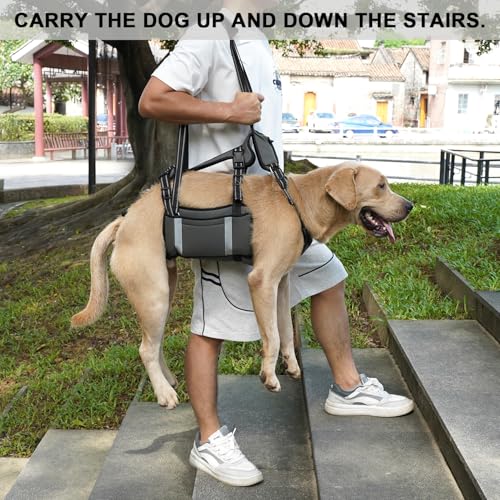 COODEO Mobility Hundegeschirr zum Heben, Notfall-Trageschlaufe, Haustier-Heckbeinstütze, Rehabilitationsweste, Hundetragetasche für ältere Hunde, Gelenkverletzungen, Arthritis (Militärgrün, M)