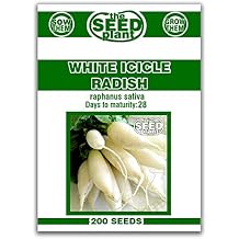 White Icicle Radish Seeds - 200 Seed Non-GMO