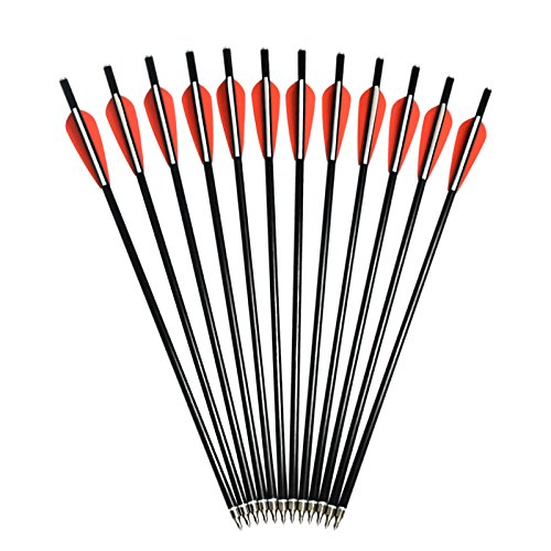 Crossbow Bolts Arrows Fiberglass 14 Inch Hunting Sport Archery Target Arrow With Replaced 100 Grain Points Flat Knocks (Pack Of 12) #TOP6