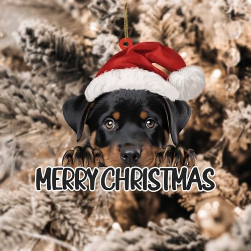 PODbyyou Rottweiler Dog with Santa Hat Custom Name Ornament for Christmas Tree Decor Rottweiler Funny Christmas Hanging Decor Dog Lover Gift Acrylic Christmas Ornaments 4in PODbyyou Rottweiler Dog with Santa Hat Custom Name Ornament for Christmas Tree Decor Rottweiler Funny Christmas Hanging Decor Dog Lover Gift Acrylic Christmas Ornaments 4in